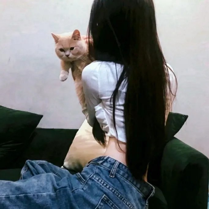 孤独的美食家 第六季